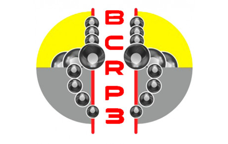 BCRP 3